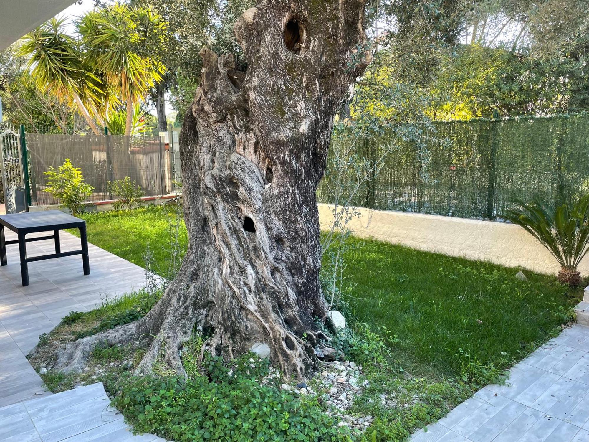 Joli Rez De Jardin 4 Pieces A Cagnes Sur Mer Exteriér fotografie